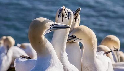 九游app官网下载-中国网球未来之星选拔计划正式启动，未来网球发展前景