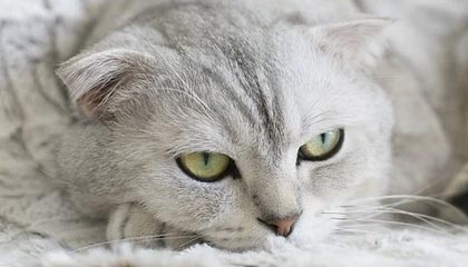 九游app官网下载-中国网球未来之星选拔计划正式启动，未来网球发展前景