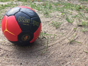 九游娱乐网址-“沙滩赛场燃爆天府新区，沙滩手球和合球上演极限对决”